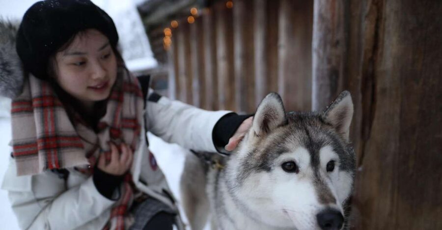 Rovaniemi: Santa Claus Village Tour Huskies & Reindeer Visit - Santa Claus Village: meeting Santa, crossing the Arctic Circle, and mailing a postcard