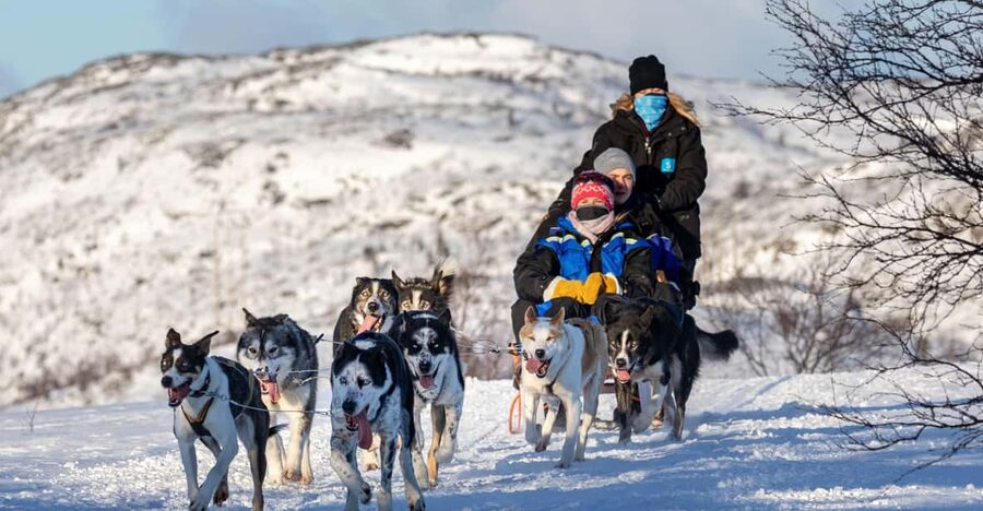 Rovaniemi: Santa's Village, Husky, & Reindeer Sled Ride - Reindeer sleigh ride: cute countryside time, plus petting and photos