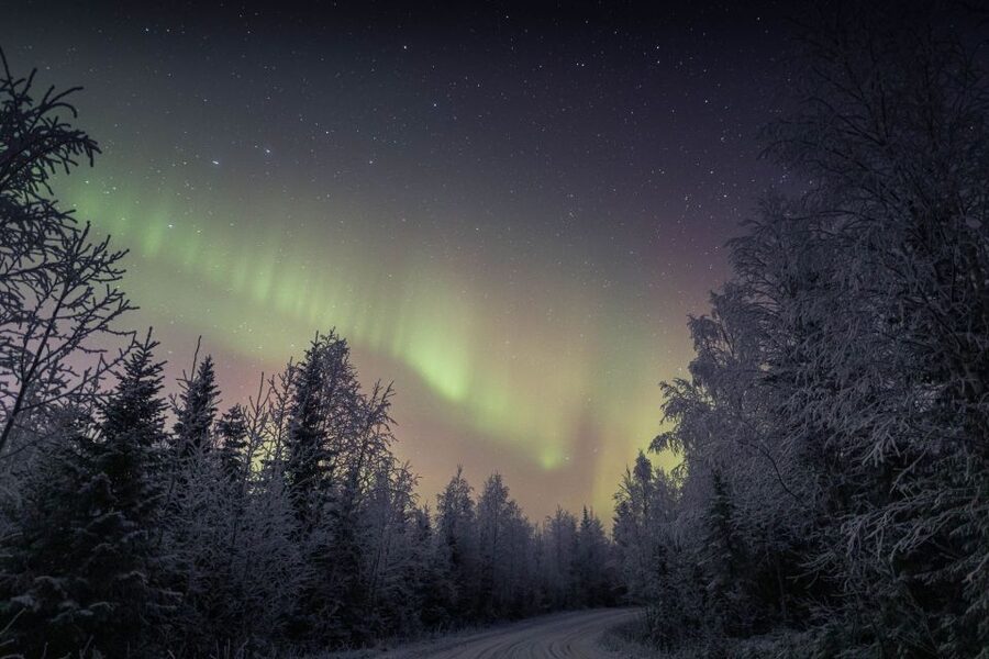 Rovaniemi: Sauna & Ice Swimming Tour with Dinner and Aurora - Who This Tour Is Best For, and Who Should Skip It