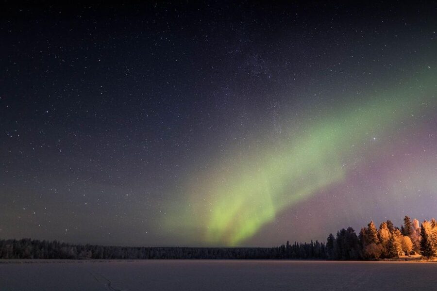 Rovaniemi: Sauna & Ice Swimming Tour with Dinner and Aurora - Price and Value: Is $184 Worth It?