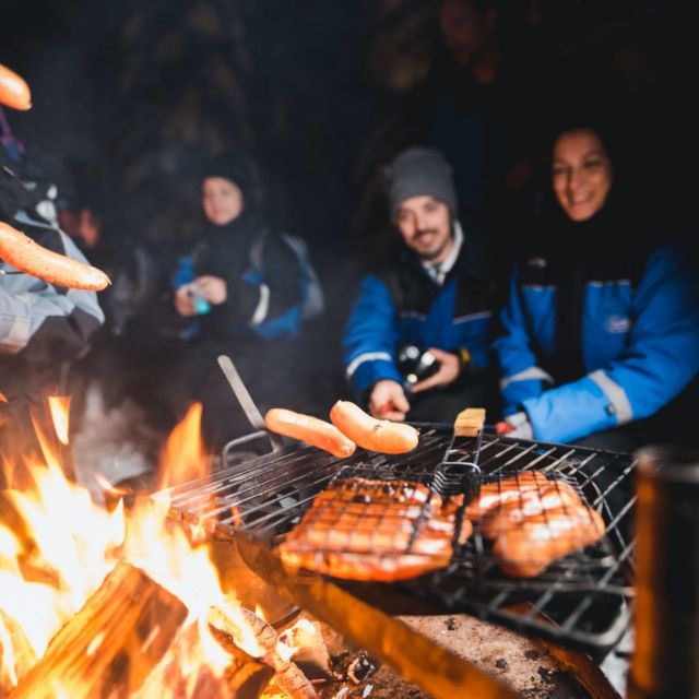 Rovaniemi: Search for Northern Lights Snowmobiling Trip - From Rovaniemi lights to Lapland night sky