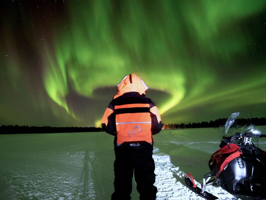 Rovaniemi: Search for Northern Lights Snowmobiling Trip - The 1.5-hour after-dark forest safari