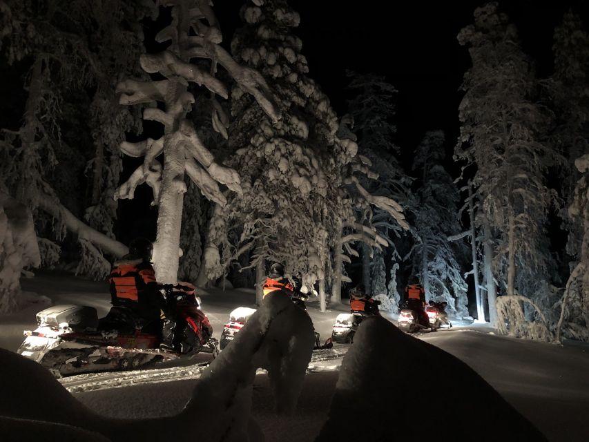 Rovaniemi: Search for Northern Lights Snowmobiling Trip - Northern lights: what you can control, what you cannot