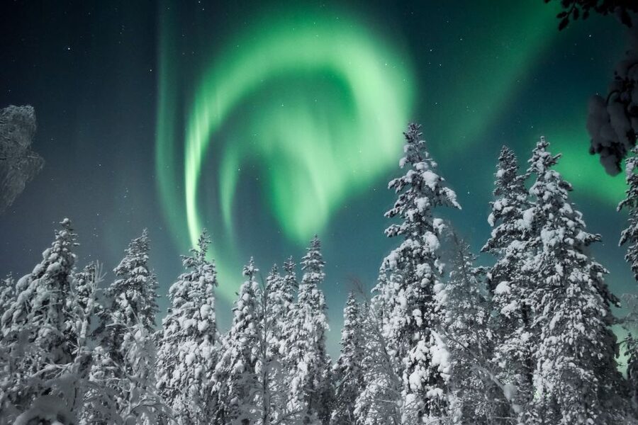 Rovaniemi: Search for Northern Lights Snowmobiling Trip - Price and value: what you get for about $199