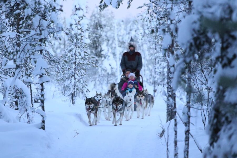 Rovaniemi: Self-Drive Husky Sleigh Ride Adventure - The kota or yurt stop: warm drink, cookies, and dog talk