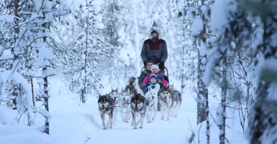 Rovaniemi: Self-Drive Husky Sleigh Ride Adventure - Getting picked up, then heading out of town