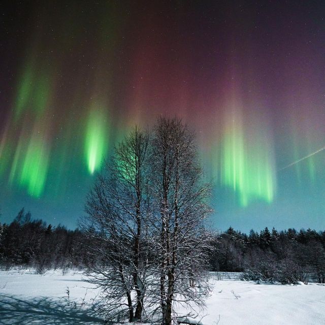 Rovaniemi: Small Group Aurora Hunt-full money back guarantee - Winter clothes and boots: included on request, not automatically