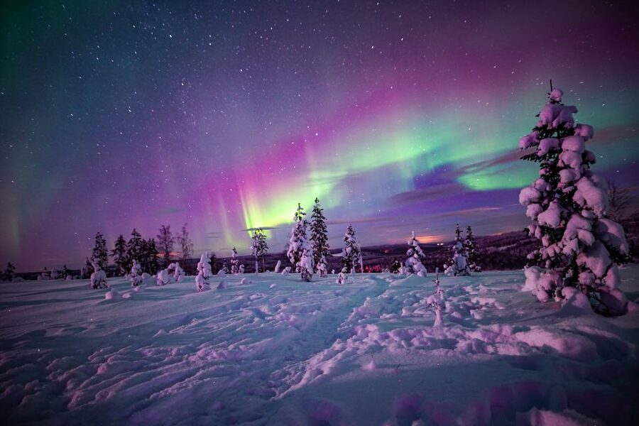 Rovaniemi: Small-Group Northern Lights Wilderness Tour - When the aurora forecast is low, you still get a good night