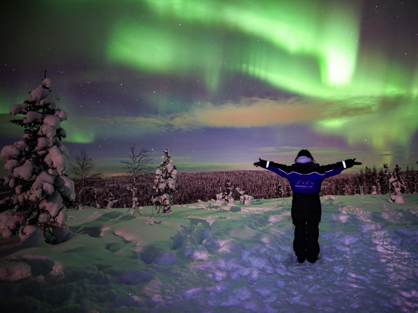 Rovaniemi: Small-Group Northern Lights Wilderness Tour - Small group size changes everything (max 8 people)