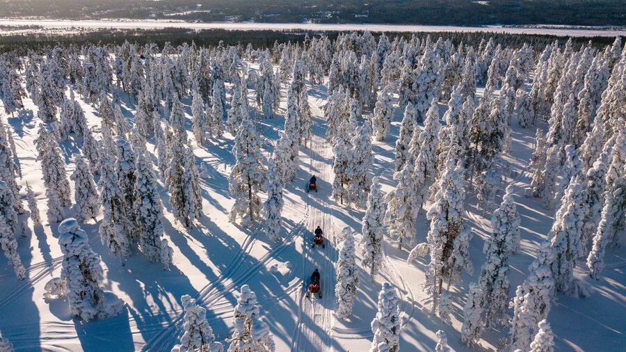 Rovaniemi: Snowmobile Adventure Tour for Adults Only - Should You Book This Adults-Only Snowmobile Tour from Wild Nordic?