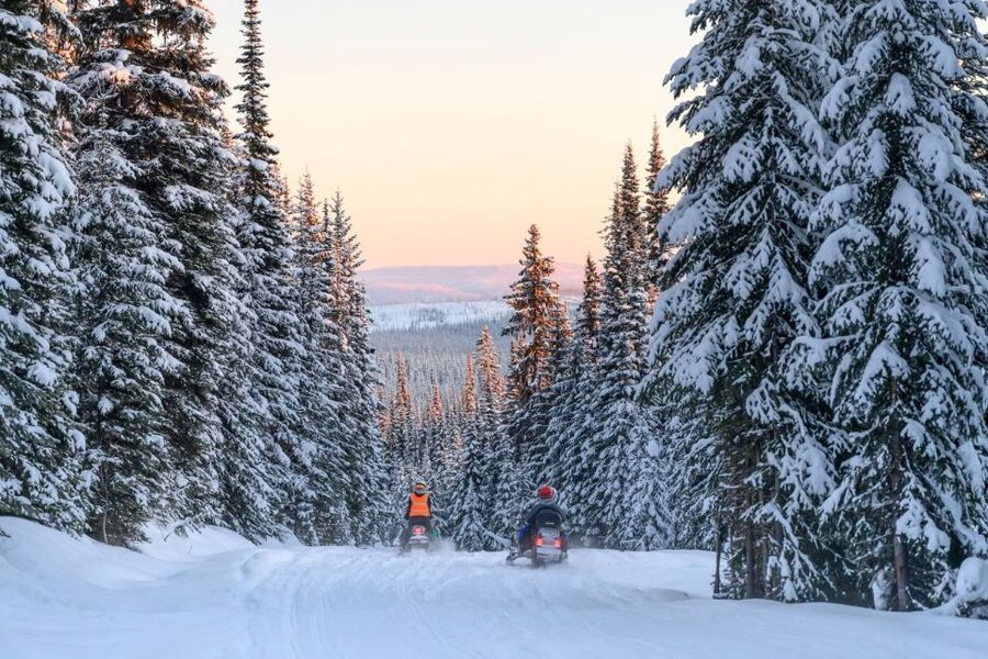 Rovaniemi: Snowmobile Safari Adventure - Kids and height rules: who rides where