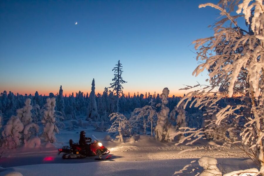 Rovaniemi: Snowmobile Safari & Campfire Evening Escape - Key things you’ll notice on this Rovaniemi night safari