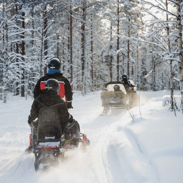 Rovaniemi: Snowmobile Safari in the Arctic Circle - Key Highlights You’ll Feel Fast