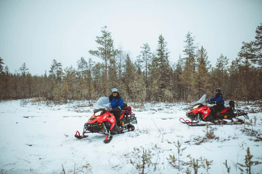 Rovaniemi: Snowmobile Safari into the Wilderness - Should You Book This Rovaniemi Snowmobile Safari Into the Wilderness?