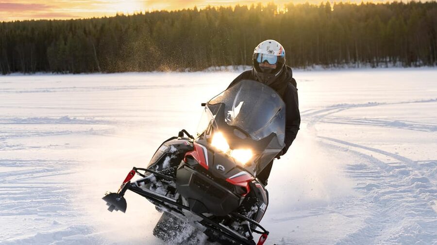 Rovaniemi: Snowmobile Safari, Reindeer & Husky Sleigh Ride - Reindeer Farm Stories, Feeding Moments, and Your Certificate