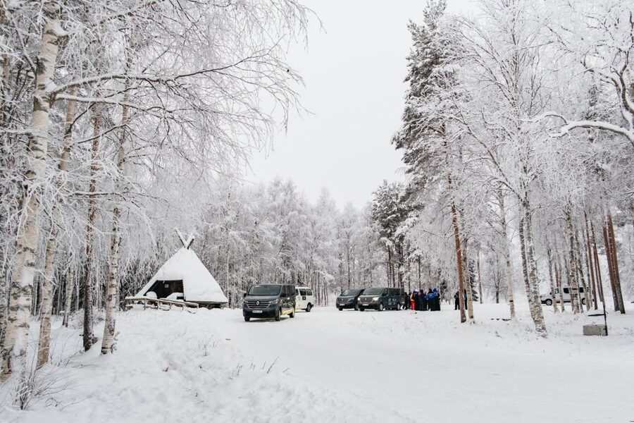Rovaniemi: Snowmobile Safari, Reindeer & Husky Sleigh Ride - Price and Value: Is $281 Worth a Half-Day Arctic Combo?