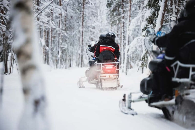 Rovaniemi: Snowmobile Tour and Reindeer Experience - Snowmobile Safari Time: The Arctic Circle 1-Hour Ride
