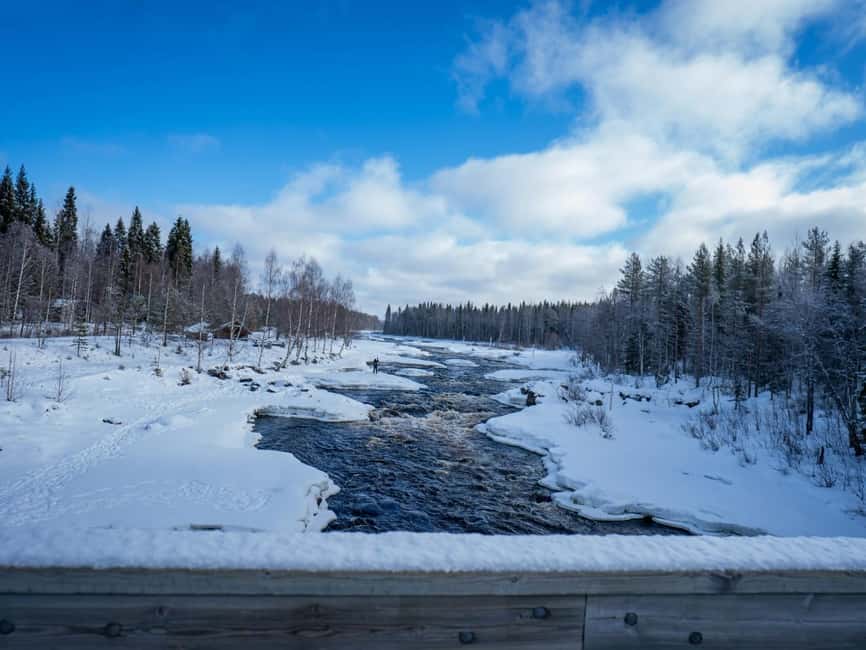Rovaniemi: Snowshoe Adventure at Vikaköngäs & Barbeque - What to Wear and Bring for a Smooth Snowshoe Walk