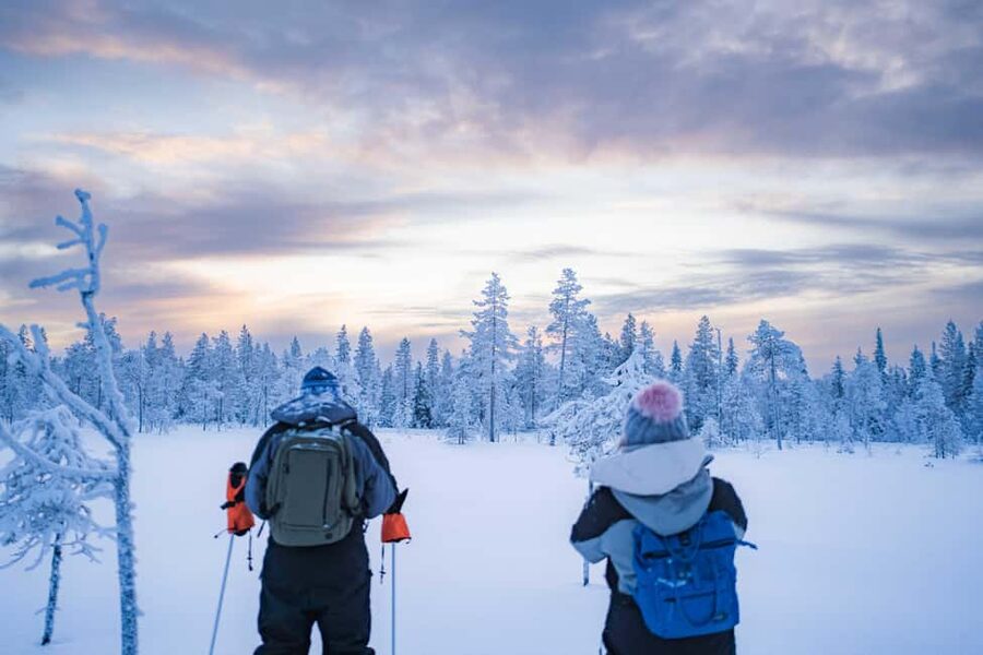 Rovaniemi: Snowshoe Wilderness Adventure - Key highlights worth planning around