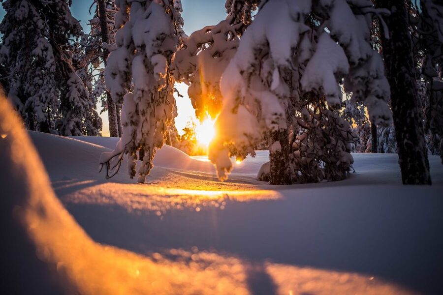 Rovaniemi: Snowshoe Wilderness Adventure - Why this snowshoe trek feels special around Rovaniemi