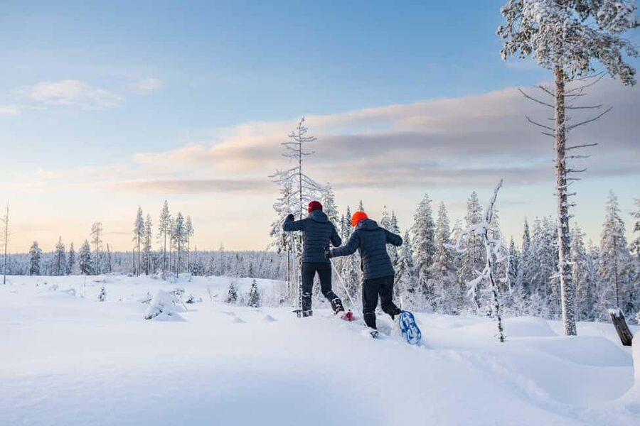 Rovaniemi: Snowshoe Wilderness Adventure - The minivan transfer: quick ride, then you disappear into the woods