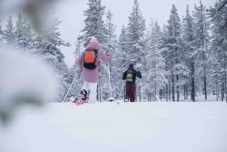 Rovaniemi: Snowshoe Wilderness Adventure - On the snowshoes: deep snow hiking that also teaches your eyes