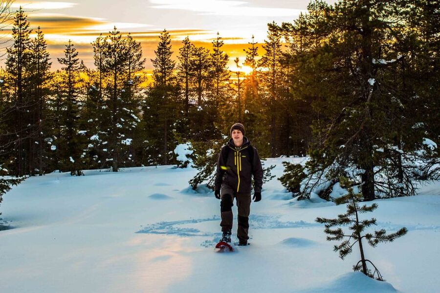 Rovaniemi: Snowshoe Wilderness Adventure - Photography coaching: why the edited photo download changes the value