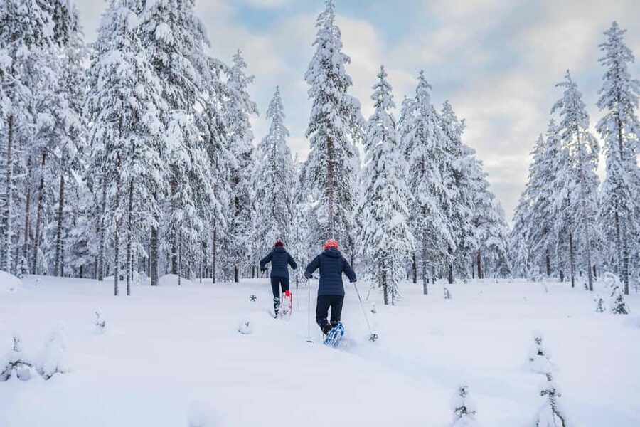 Rovaniemi: Snowshoe Wilderness Adventure - Cost and value: what you’re really paying for at $119
