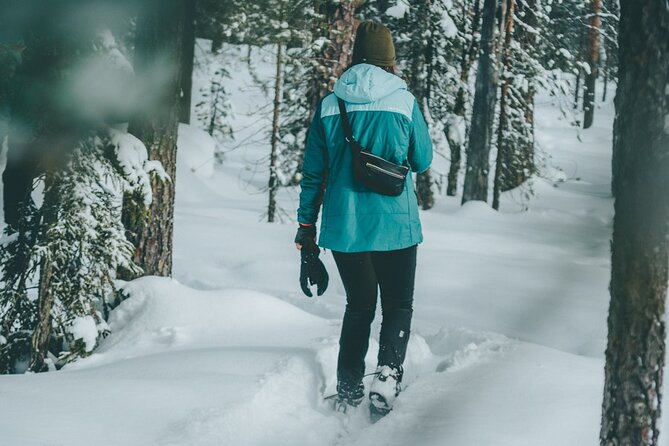 Rovaniemi: Snowshoeing in a magical snowy forest - Key highlights before you go