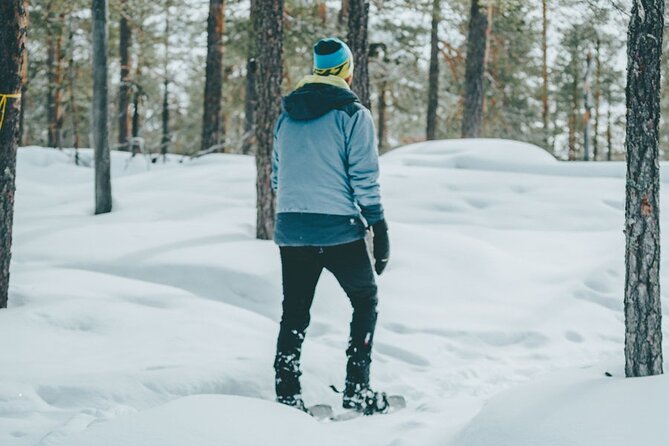Rovaniemi: Snowshoeing in a magical snowy forest - Snowshoeing close to Rovaniemi, without the hassle