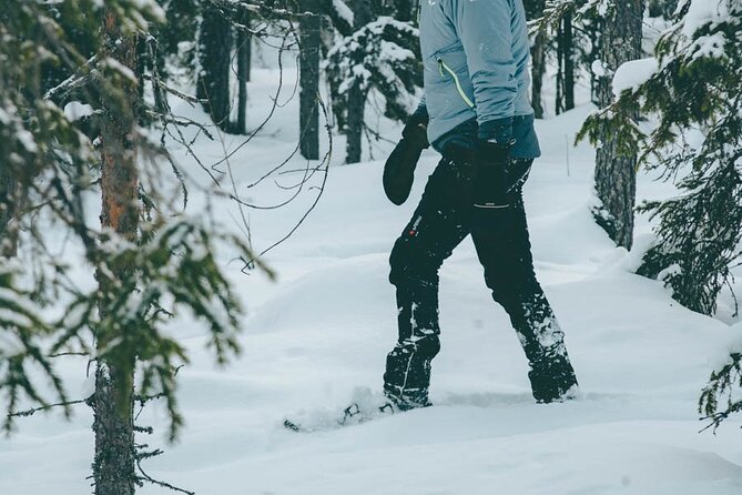Rovaniemi: Snowshoeing in a magical snowy forest - Aino and your guide-led photo keepsake