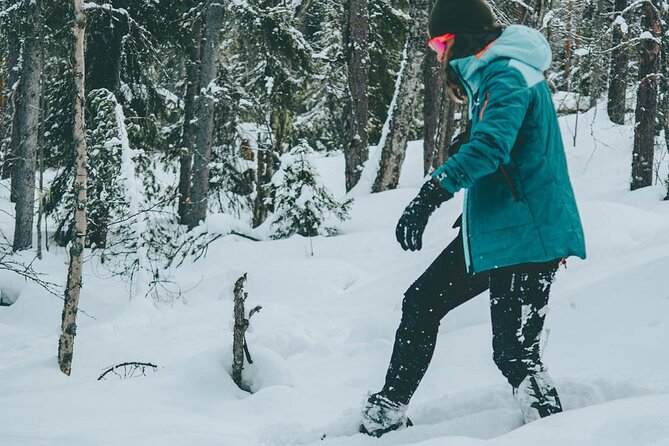 Rovaniemi: Snowshoeing in a magical snowy forest - Price and value: what you get for $98.33