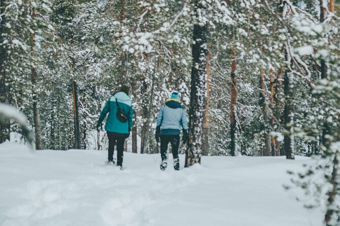 Rovaniemi: Snowshoeing in a magical snowy forest - Should you book this Rovaniemi snowshoe experience?