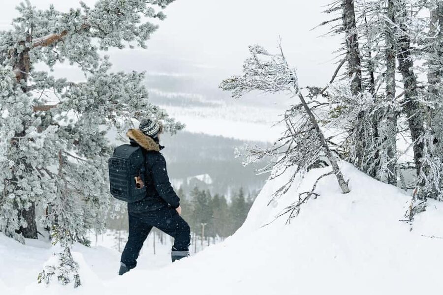 Rovaniemi: Snowshoeing in the Arctic Wilderness - Key Highlights You’ll Actually Use