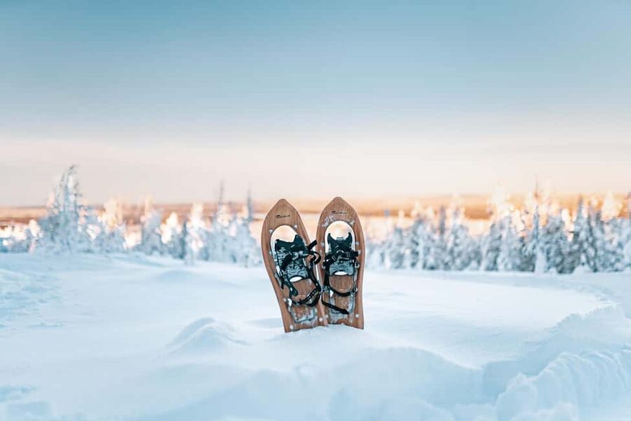 Rovaniemi: Snowshoeing in the Arctic Wilderness - Why This Rovaniemi Snowshoe Tour Fits So Well (3 Hours, Small Group)
