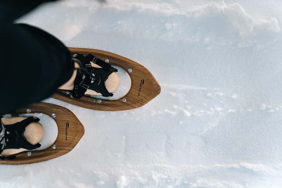 Rovaniemi: Snowshoeing in the Arctic Wilderness - Arctic Ecosystem Stories That Make the Forest Feel Real