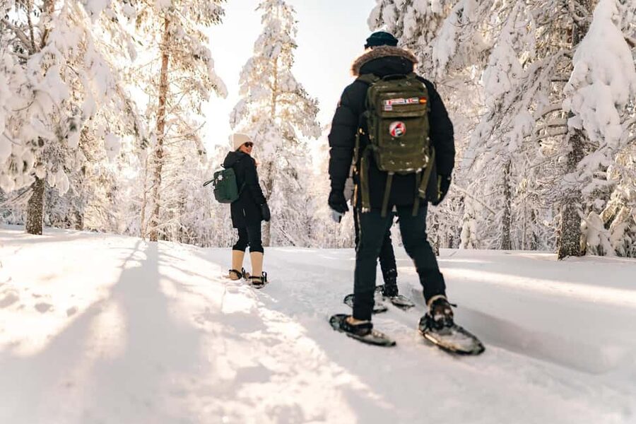 Rovaniemi: Snowshoeing in the Arctic Wilderness - Pickup, Snowshoe Setup, and Walking Across Deep Snow