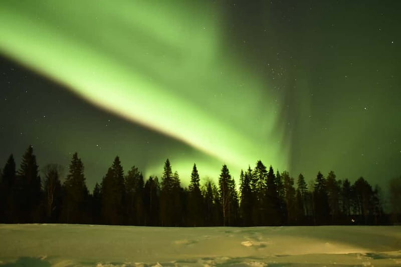 Rovaniemi: Snowtrain to Northern Lights Camp - Pickup in Rovaniemi, Then Straight to Apukka Resort