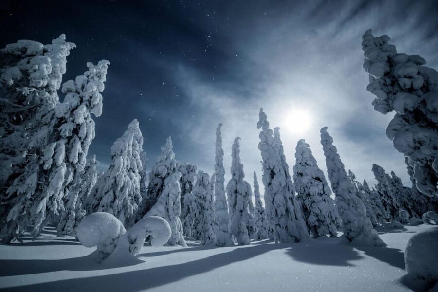 Rovaniemi: Snowy Forest Night Hike with Northern Lights - Why a 3-hour snowshoe night hike works so well in Rovaniemi