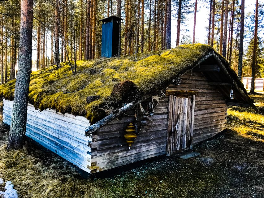 Rovaniemi: Summer Reindeer Farm Experience - Getting to the farm, pickup that keeps the day easy