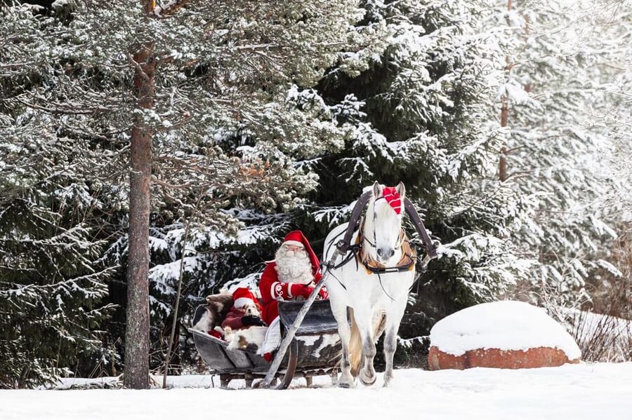 Rovaniemi: Traditional Finnhorse Sleigh Ride at SCV (3km) - First Steps at Aurora Horses Napapiiri (and how to find it)