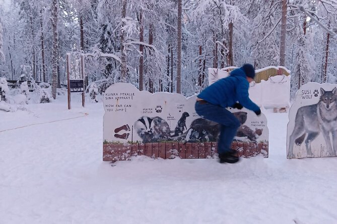 Rovaniemi: Trip to Ranua Zoo with Tickets Included - Pickup, timing, and what 5 to 6 hours means in practice