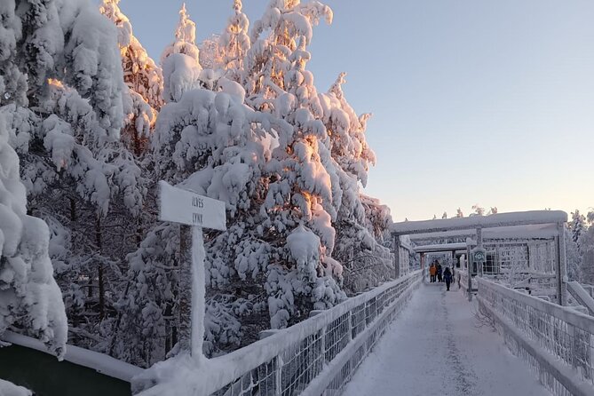 Rovaniemi: Trip to Ranua Zoo with Tickets Included - Comfort on the road: small group, patient driver, and photo stops