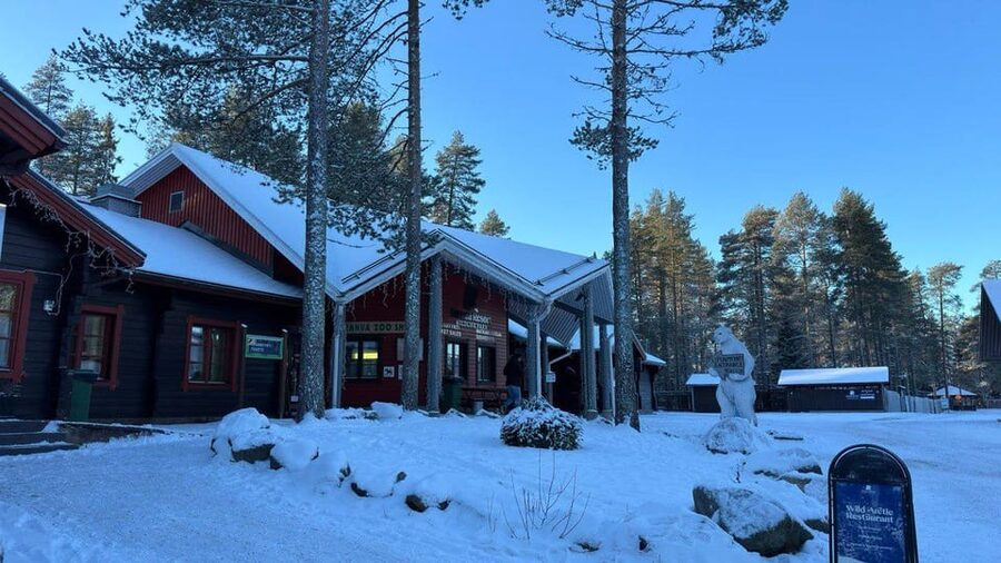 Rovaniemi: trip to the Ranua Zoo (transportation, tickets) - Price and value: is $117 worth it from Rovaniemi?
