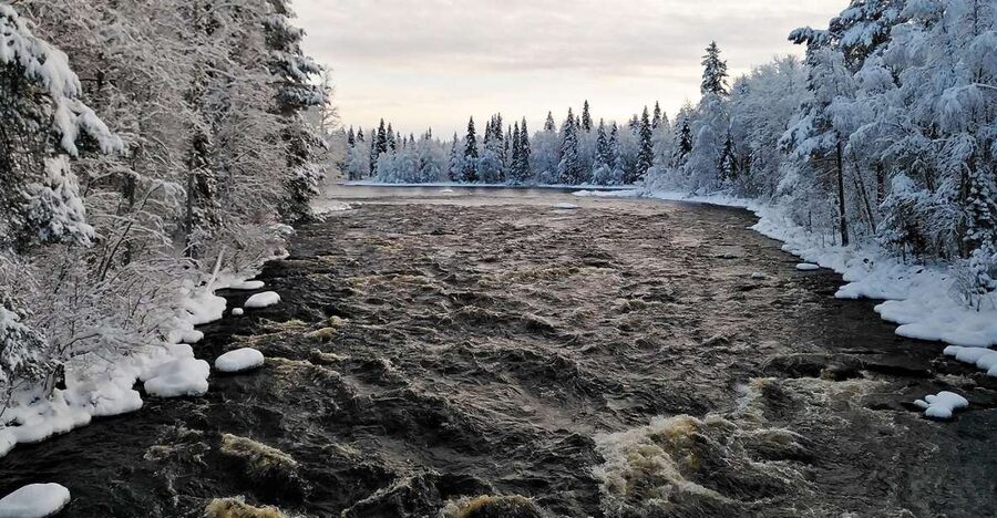 Rovaniemi: Vaattunki Hiking Arctic Circle Trail - Vaattunkiköngäs Falls Stroll, Where the Woods Open Up