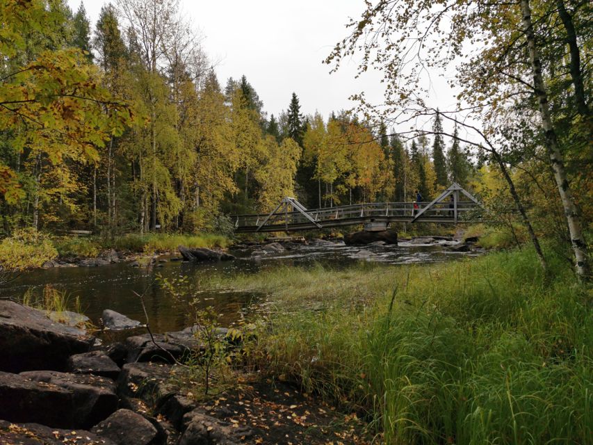 Rovaniemi: Vaattunki Hiking Arctic Circle Trail - Wildlife and Nature Learning, What You Should Actually Look For
