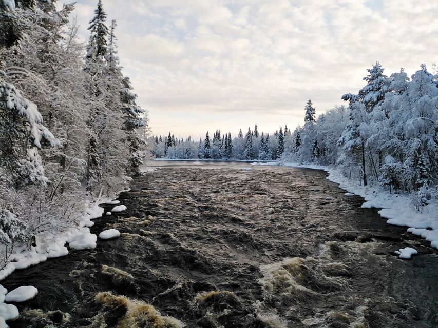 Rovaniemi: Vaattunki Hiking Arctic Circle Trail - What to Bring, and the Small Details That Affect Comfort