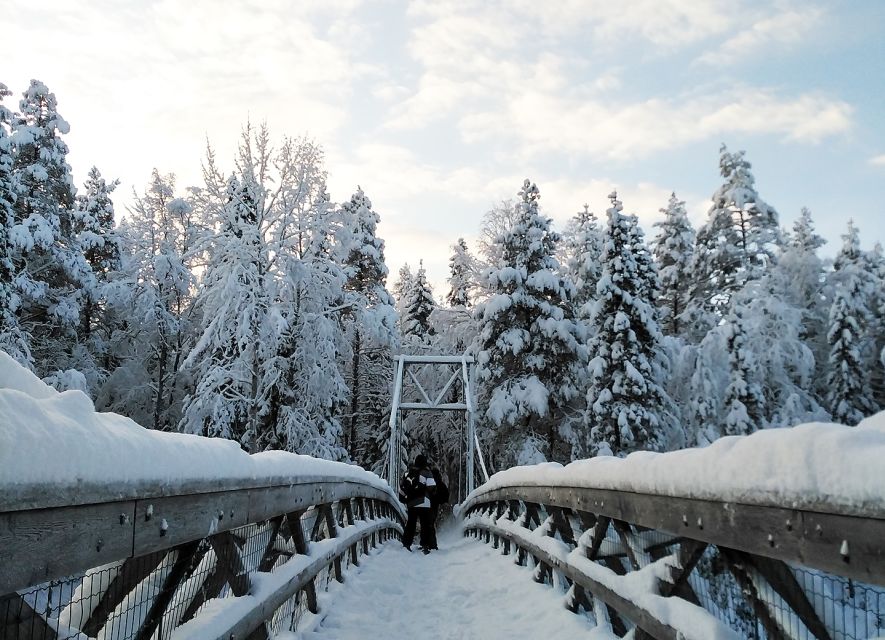 Rovaniemi: Vaattunki Hiking Arctic Circle Trail - Rovaniemi’s Vaattunki Trail, Arctic Circle Walking in 3 Hours