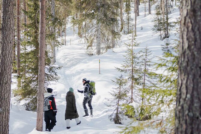 Rovaniemi - Visit to The Frozen Waterfalls of Korouoma - Korouoma Canyon: why these frozen waterfalls feel special
