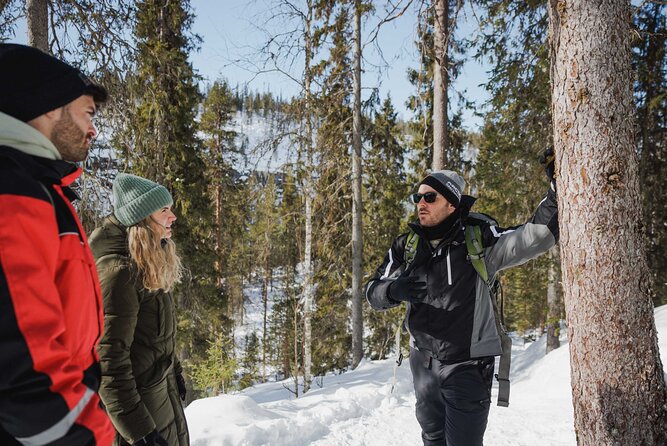 Rovaniemi - Visit to The Frozen Waterfalls of Korouoma - Guide quality: how the day gets smoother in a small group